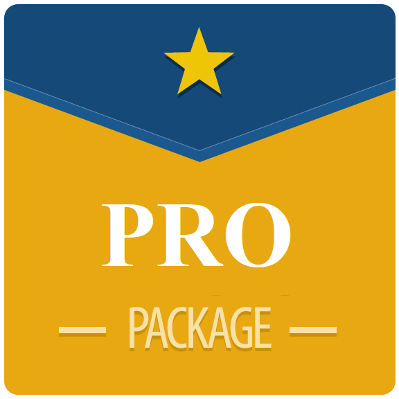 Pro Partner Promotion Package: $250